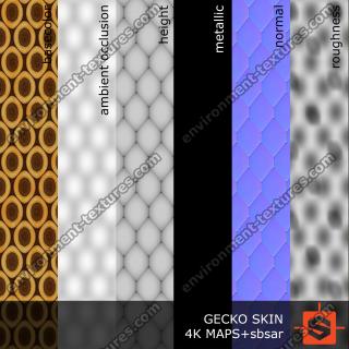 PBR Texture of Gecko Skin